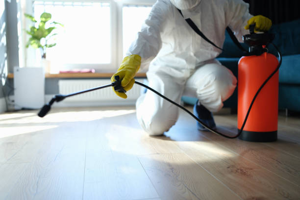 Reliable Odor Removal contractor in San Rafael, CA by Dulley Family Biohazard Services